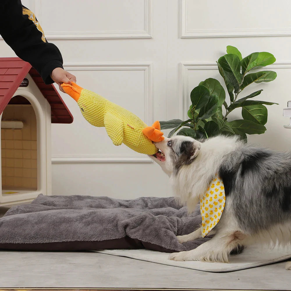 The Dog Sleeping Toy Duck: The Ultimate Chew and Sounding Toy for Your Pup